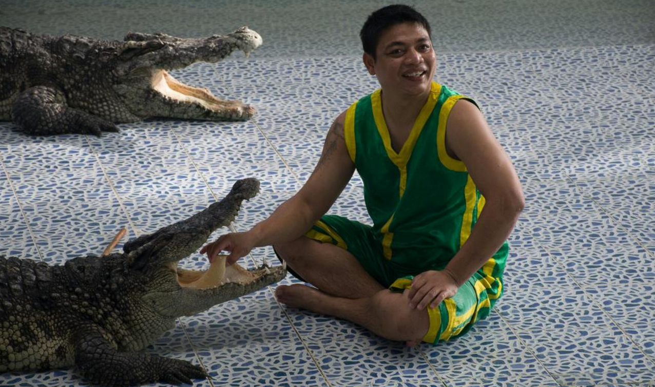 Шоу крокодилов и змей на Ко Чанге